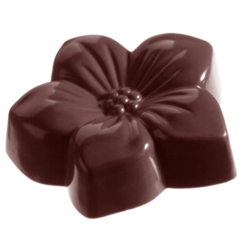 bakedeco-2056519