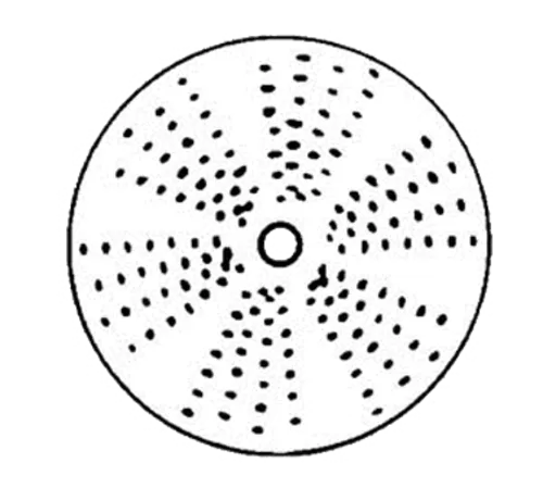 ckitchen3-2781980