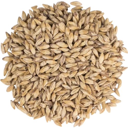 howdybrewer12022816