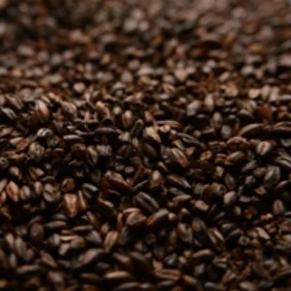 howdybrewer12022918