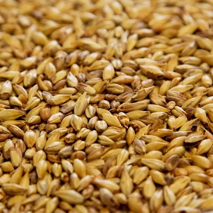 howdybrewer12025965