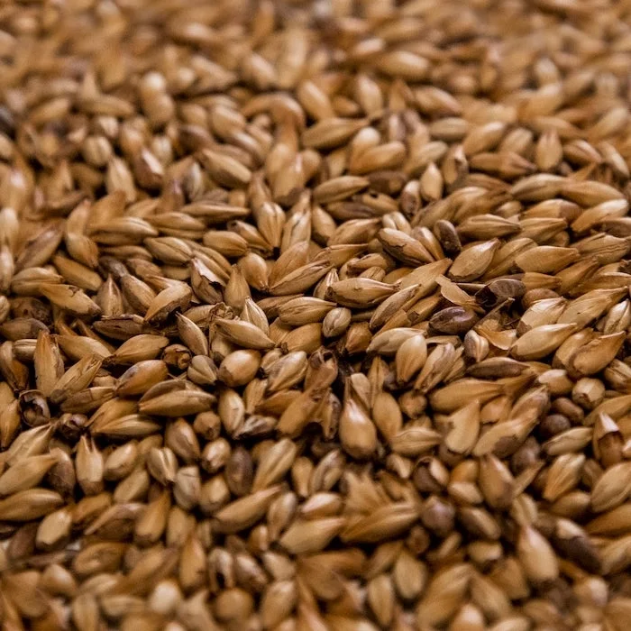howdybrewer12025981