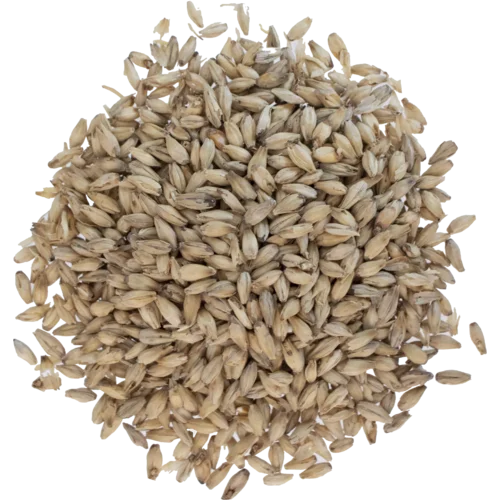 howdybrewer12026736