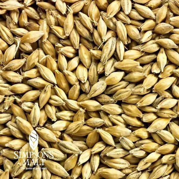 howdybrewer12027234