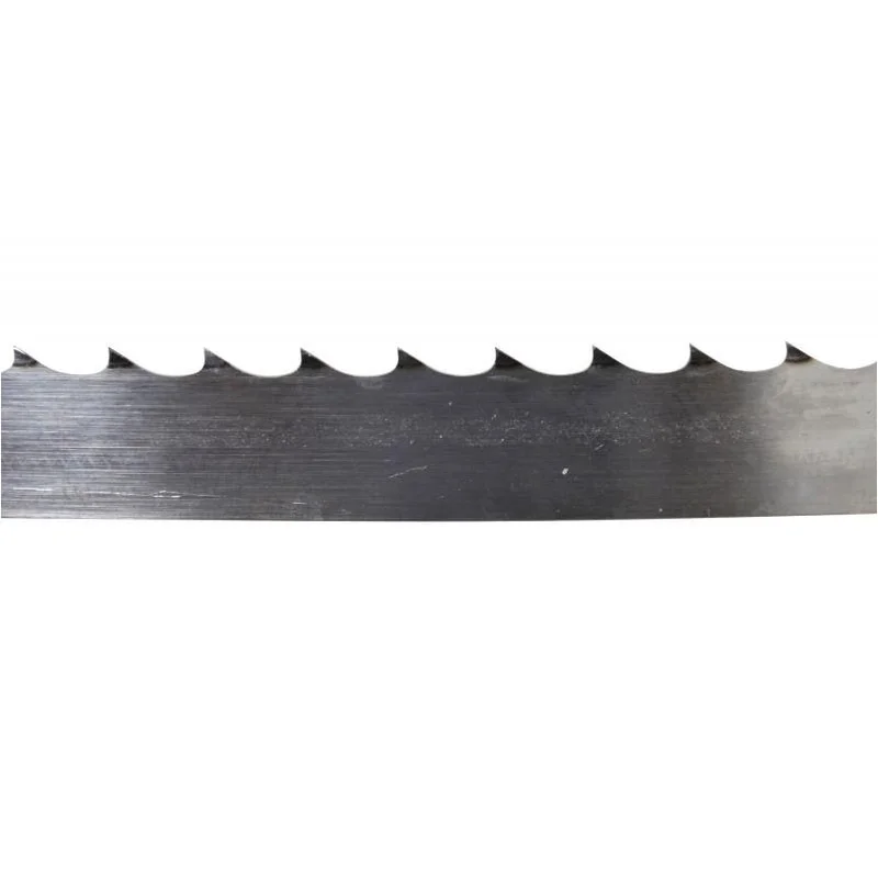 lionsdeal1-2054066